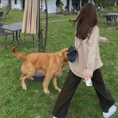 陌生的孩子